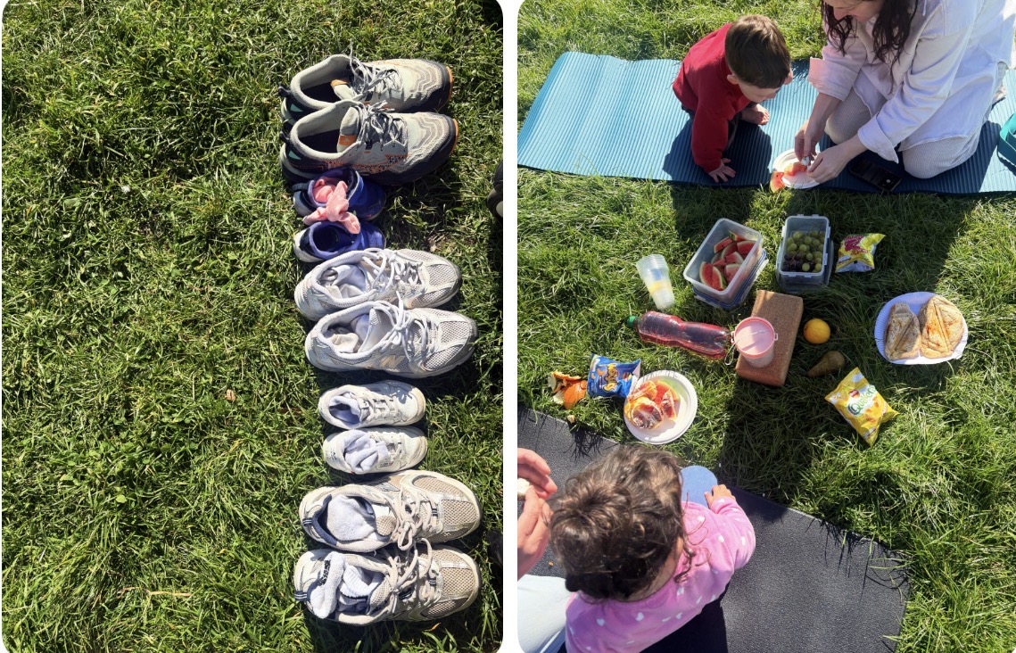 Family picnics