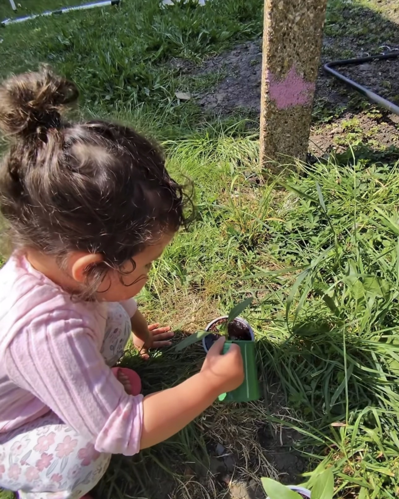 Outdoor exploration